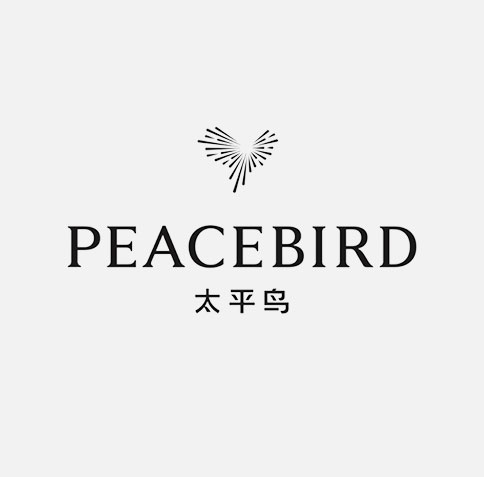 國(guó)内品牌PEACEBIRD-女士手提包定制案例